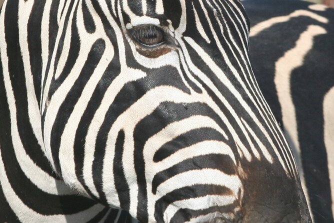 Kruger National Park in a Open Safari Vehicle - Full Day - Cancellation Policy and Refund Information