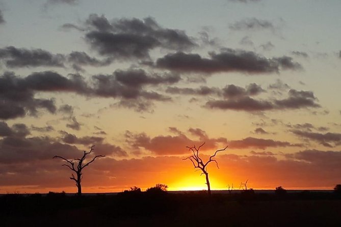Kruger National Park Night Safari Minimum 4people - Weather Dependent Experience