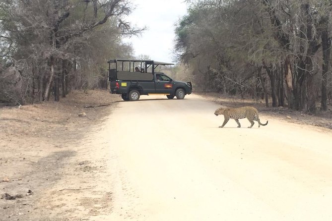 Kruger National Park Private Guided Afternoon Game Drive - Customize Your Game Drive