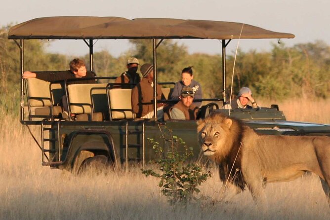 Kruger Park Half Day Open Vehicle Safari Drive - Itinerary Overview