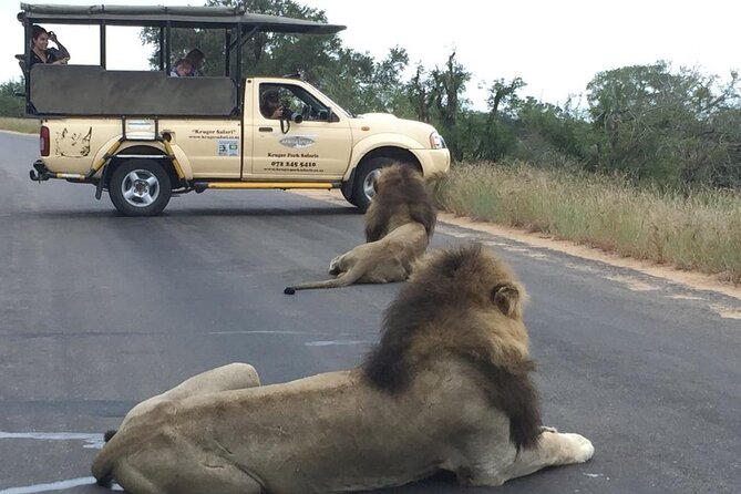 Kruger Park Safari Private Full-Day Tour From Malelane - Start Time