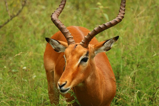 Kruger to Cape Town 19-Night Adventure Tour From Pretoria - Itinerary and Destinations