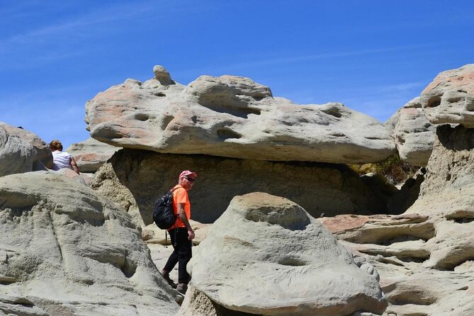 La Leona Petrified Forest Day Trip From El Calafate (Feb ) - Cancellation Policy Details