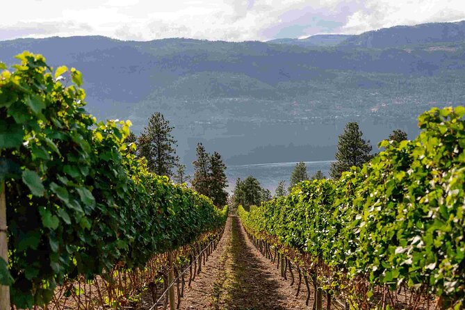 Lake Country Wineries Tour Lunch - Gourmet Lunch Options