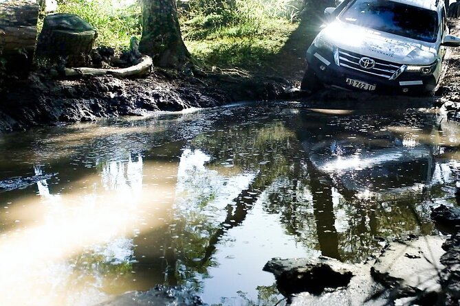 Lakes District 4x4 Full-Day Tour With Lunch From Ushuaia - Good To Know