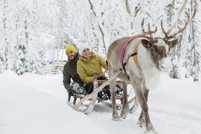 Lapland Reindeer and Husky Safari From Levi - Reindeer Farm Visit and Sled Ride