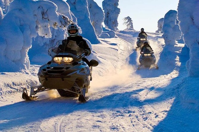 Lapland Snowmobile Safari From Levi - Booking Process