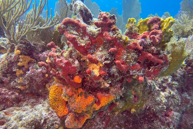 Let It Ride Charters-Private Fishing / Snorkel Combo Key Largo FL - Meeting Information