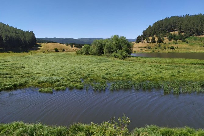 Light Trekking in the Heart of the Sila With an Excursion Guide - Experience Highlights