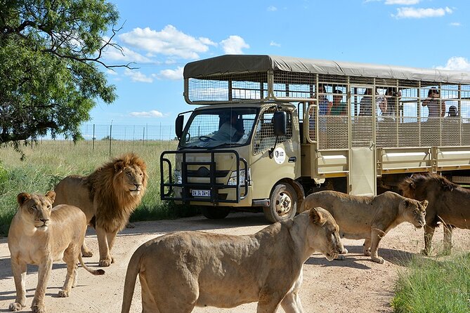 Lion & Safari Park - Overview of Lion and Safari Park
