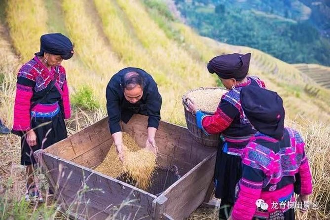 Longji Rice Terraces & Minority Villages Private Day Tour - Inclusions and Services