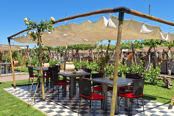 LUJAN De CUYO Premium Wineries With PRIVATE DRIVER - Premium Wineries Selection