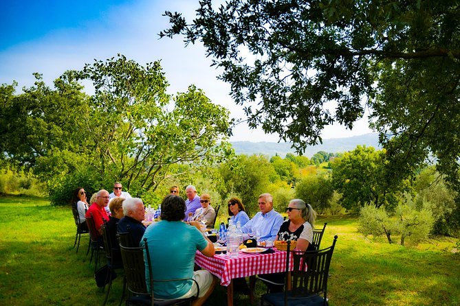 Lunch Among the Olive Trees - Good To Know