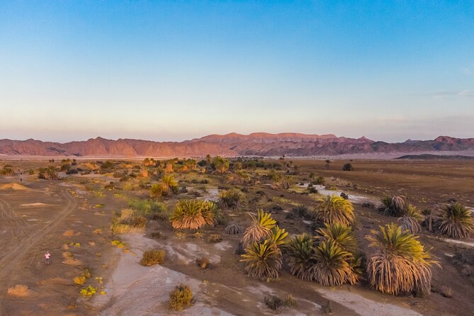 Luxury Sunset Safari to the Oasis & Starlit Dinner From Hurghada - Itinerary Overview