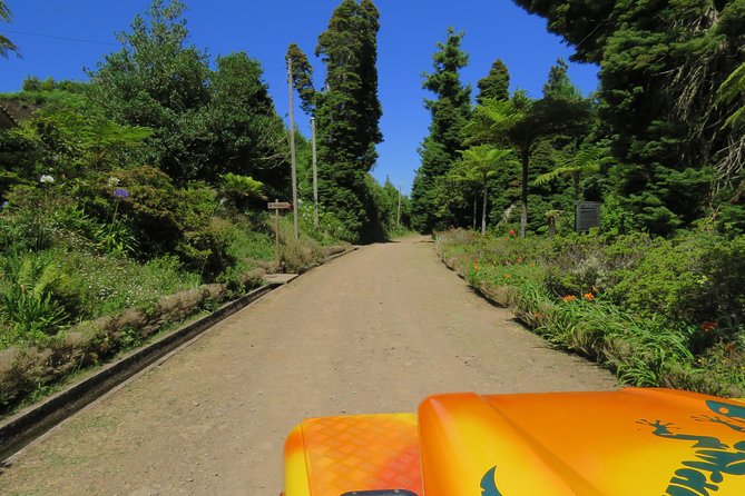Madeira Highlights: Guided 4-Hour Tour From Funchal - Reviews and Ratings