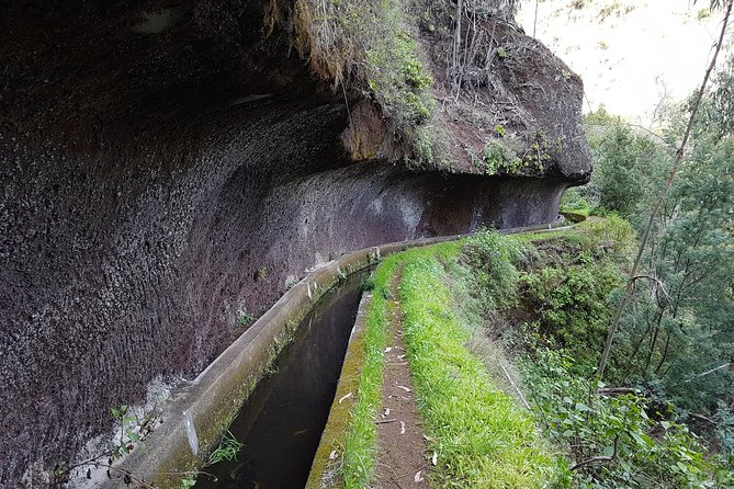 Madeira: Private Camacha Levada Do Tornos Walk - Highlights of the Private Walking Tour