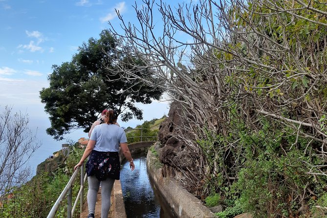 Madeira: Private Guided Levada Do Norte Walk - Highlights