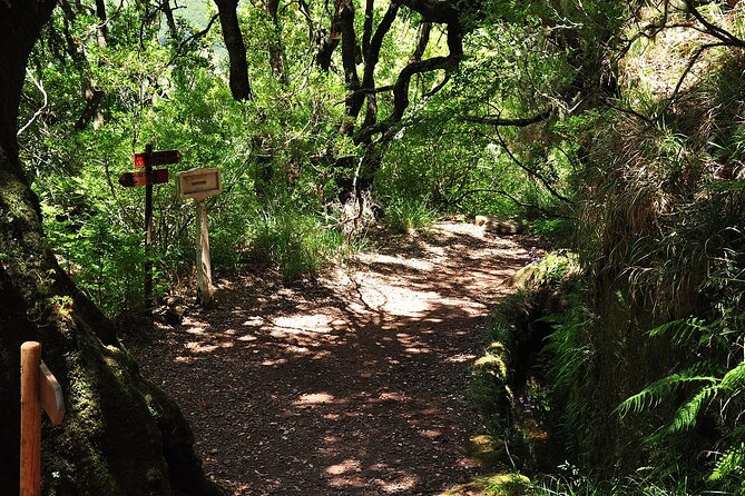 Madeira: Private Guided Levada Do Risco Hiking Tour Half-Day - Tour Details
