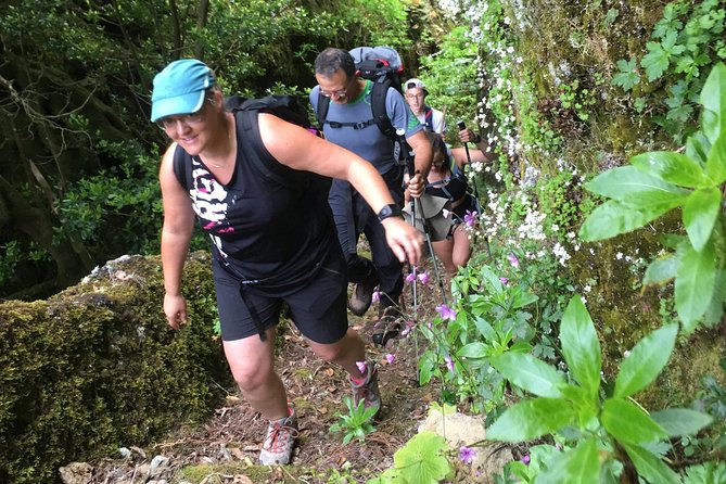 Madeira: Private Guided Levada Walking Tour  - Funchal - Tour Requirements
