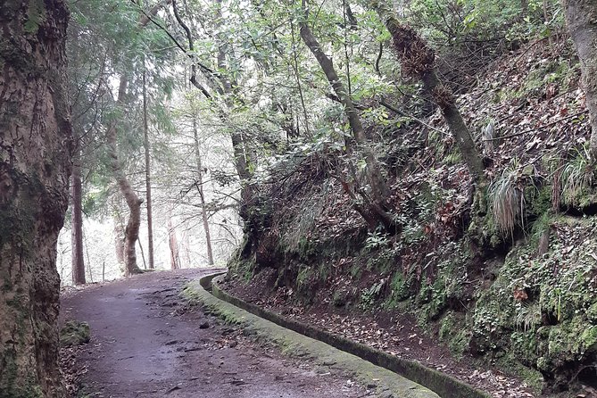 Madeira: Private Guided Tour to Ribeiro Frio and Chão Das Feiteiras - Tour Details and Duration