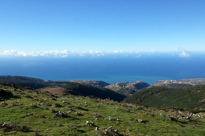 Madeira: Private Guided Walk Levada Do Paul - What to Expect