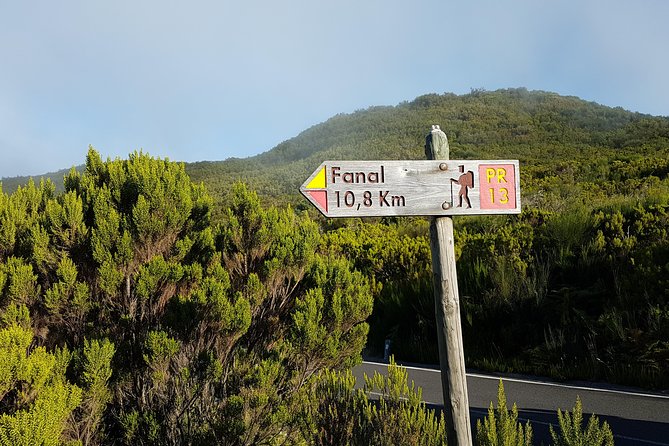 Madeira: Private Guided Walk Vereda Fanal PR13 - Tour Duration and Difficulty