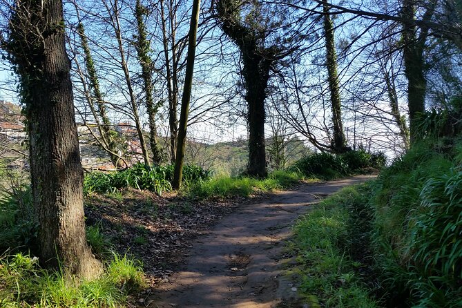 Madeira Vale Do Paraíso Day Walking Tour - Inclusions and Logistics