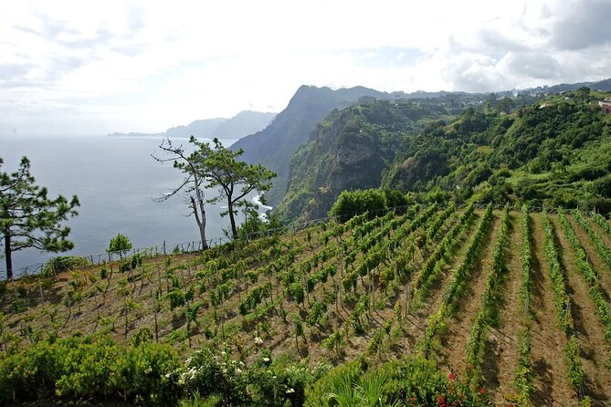 Madeira Wine Tasting and Sightseeing Private Tour From Funchal - Departure Details and Duration