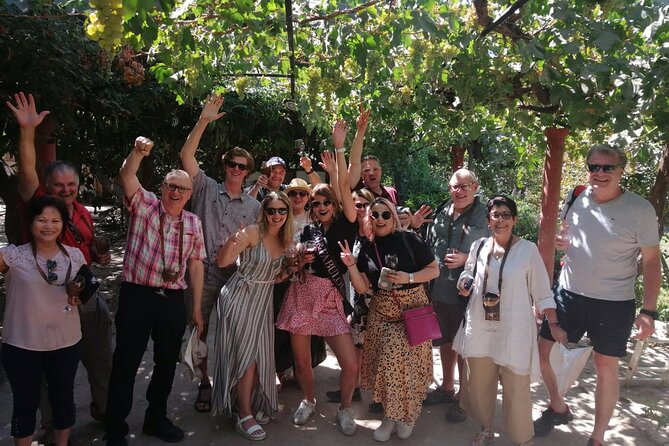 Maipo Valley Litle Wine Bus From Santiago - Cancellation Policy