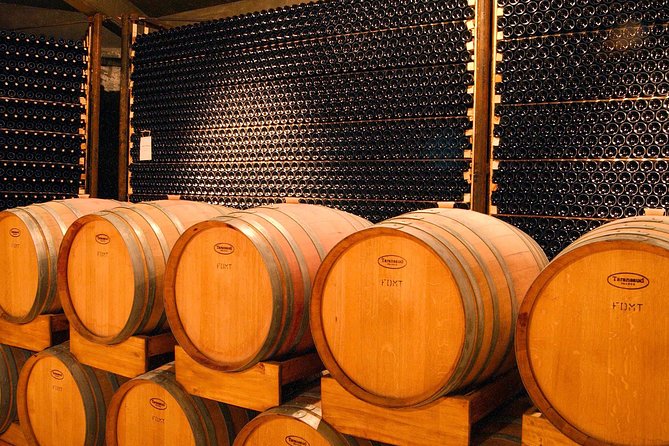 Malbec Experience in Bodega Tierras Altas - Overview of the Malbec Experience