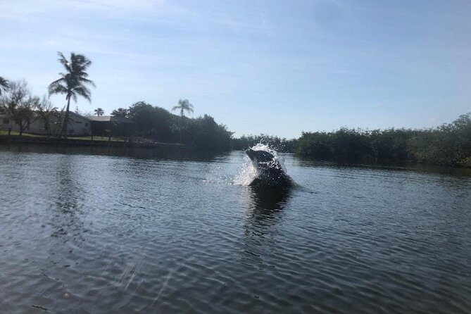 Manatee and Dolphin Kayak Tour - Meeting Point and Accessibility