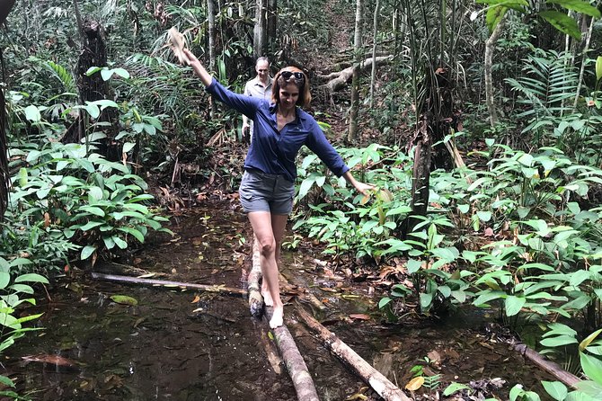 Manaus Small-Group Full-Day Jungle Tour - Inclusions and Meeting/Pickup Details