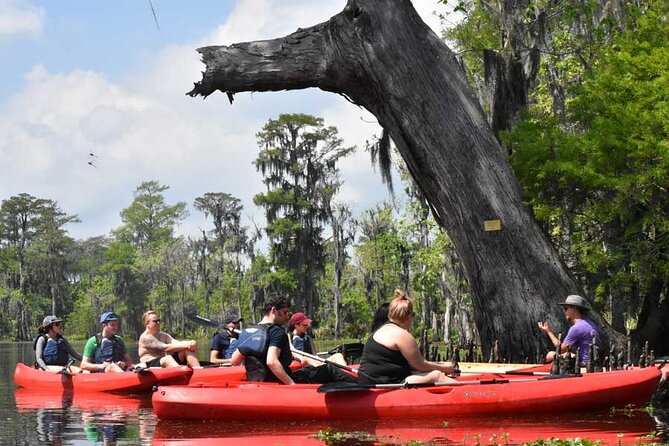Manchac Swamp Kayak Tour - Extended - Inclusions