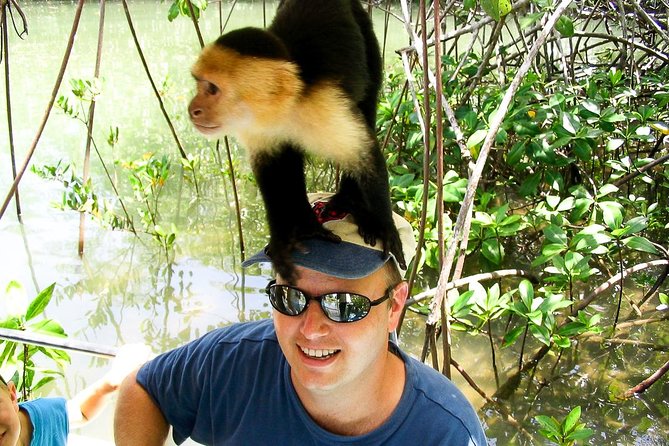 Mangrove Boat Tour Damas Island - Tour Details: Maximum of 18 Travelers