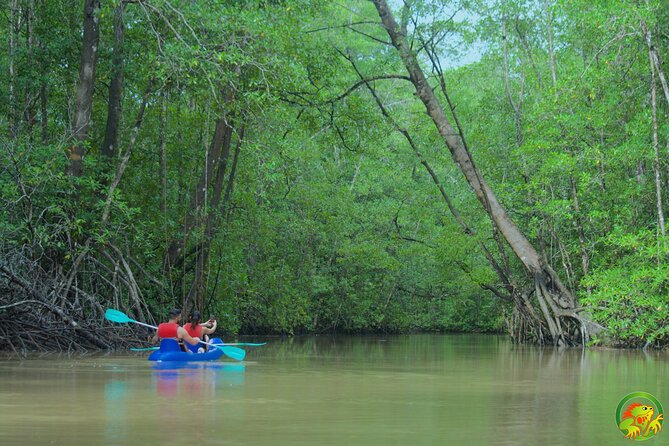 Mangrove Damas Island Kayak Tours - Booking & Cancellation Policies