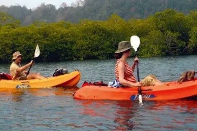Mangroves Kayaking At Havelock - Pricing and Booking Details