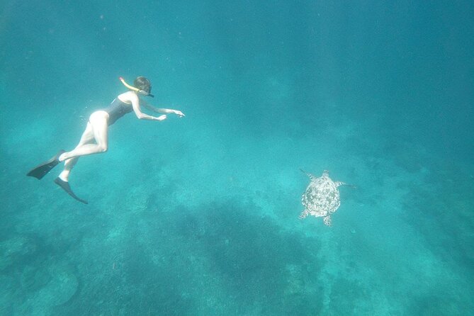 Manta Point Snorkeling Nusa Penida Tour All Inclusive - Meeting Point and Pick-up Locations