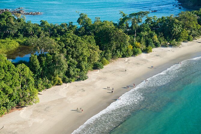 Manuel Antonio National Park Full Wildlife - Mammals Found in the Park