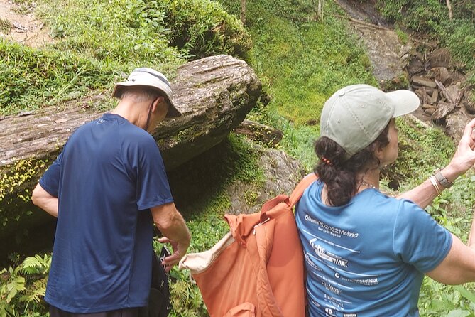 Maracas Waterfall Hike - Tour Highlights