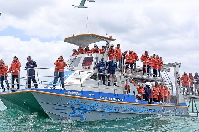 Marine Big 5 Safari With Transport From Hermanus - Safari Cruise Details