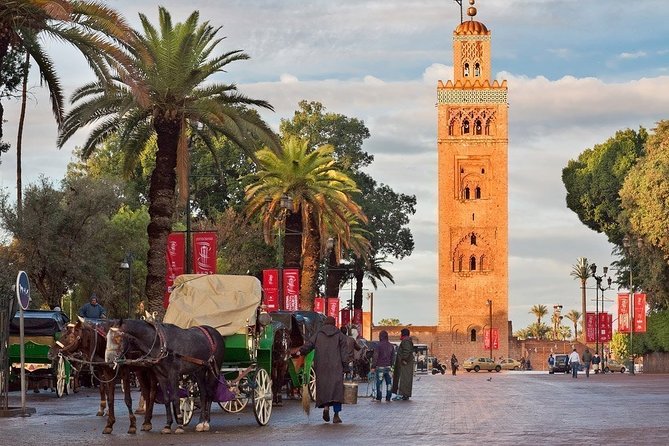 Marrakech City Tour With Private Business Car- Private Experience - Transportation and Pickup Policy
