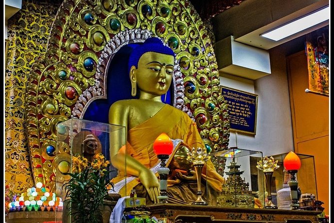 McLeod Ganj Tibetan Culture Tour  - Dharmasala - Inclusions and Amenities