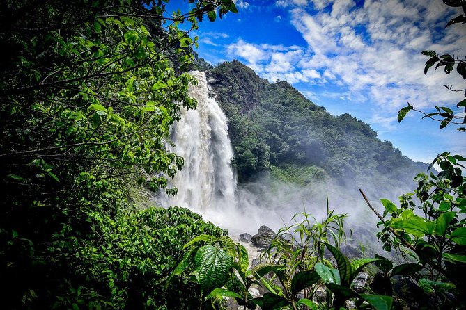 Medellín and Antioquia Zipline and Waterfall Hike (Feb ) - Traveler Information