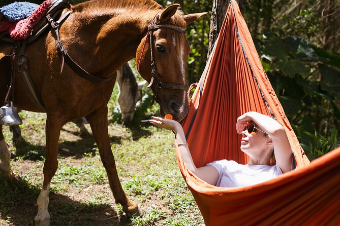 Medellin Day Trip Horseback Riding Food Tasting and Milking Cows - Cancellation Policy and Weather Dependency