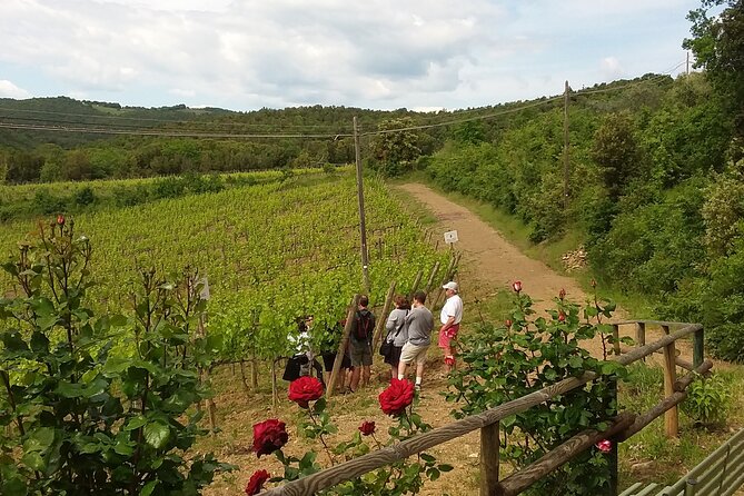 Meet the King of the Territory: Brunello Di Montalcino - Characteristics and Flavors
