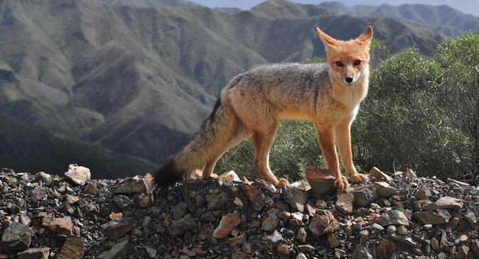 Mendoza, Andes Mountains 4WD Photo Tour Plus Lunch and Pickup (Feb ) - Itinerary Overview