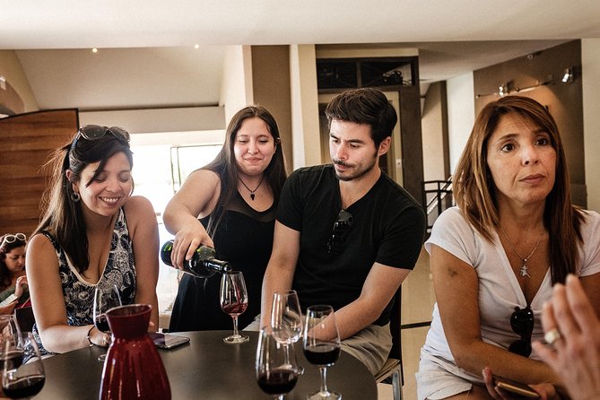 Mendoza to Maipu Wineries: Wine Tasting Group Tour With Lunch  - Mendoza Province - Pickup and Logistics