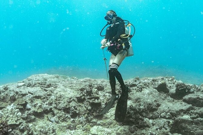 Mesmerizing Private SCUBA Diving Charter in Paradise From Waikiki - Booking Information