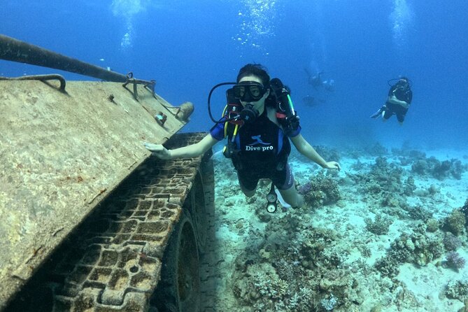 Military Museum Diving Experience in the Red Sea - Good To Know