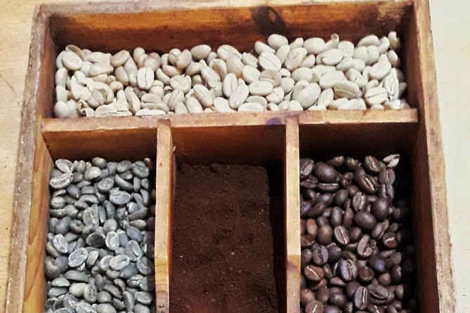 Minca - Coffee And Cocoa Tour - Coffee Farm Visit
